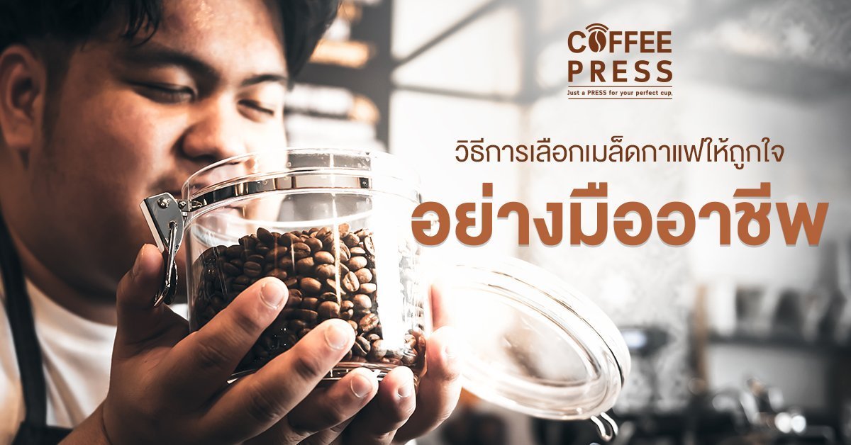วิธีเลือกเมล็ดกาแฟ