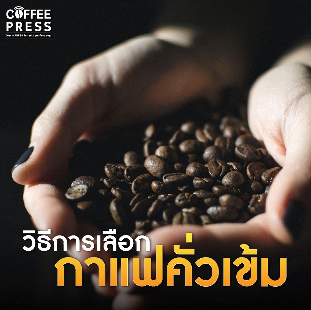 วิธีการเลือก เมล็ดกาแฟ